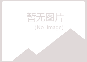 偃师夏青金属有限公司